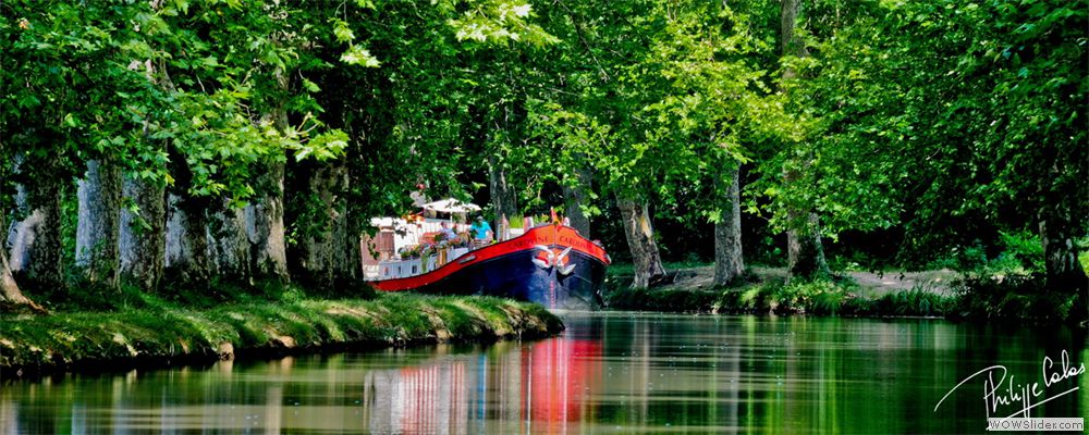 La Caroline dans le Minervois