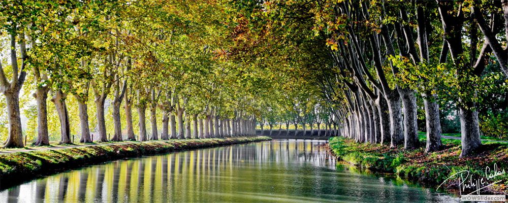 le canal du midi