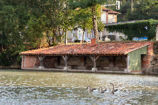 Le lavoir de Montgiscard