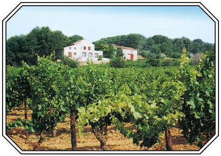 Vue sur le Domaien depuis les vignes